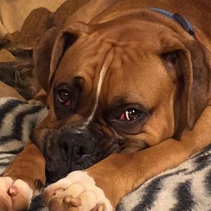 Meet your Posher, Christine